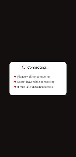 Esgard VPN screenshot 2
