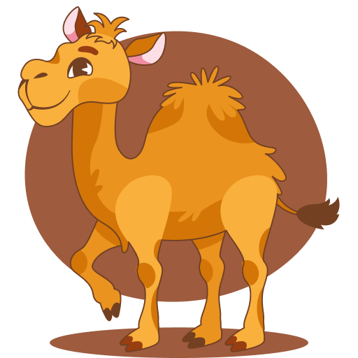 Camel VPN